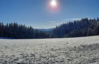 Outdoor & Relax Blackforest - Foto 37