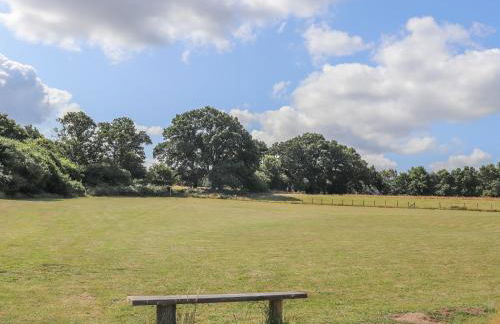 Deer Lodge - Photo 39