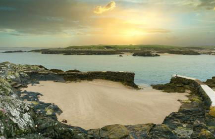 The Gun Room - Foto 2