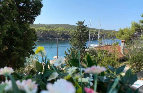 Apartment Lavanda - Photo 2