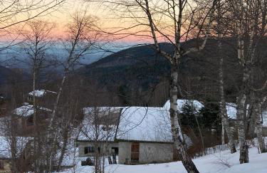 Appartement chalet - Foto 4