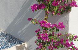 Casa Palombara - Healiday in Torre Salsa - Foto 80