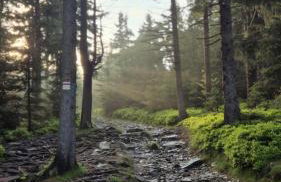 Sowi Przystanek - Foto 21