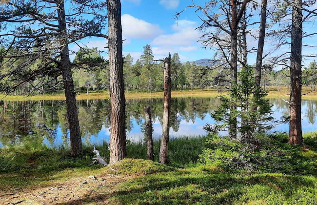 3 Person Holiday Home in Svenstavik - Photo 15