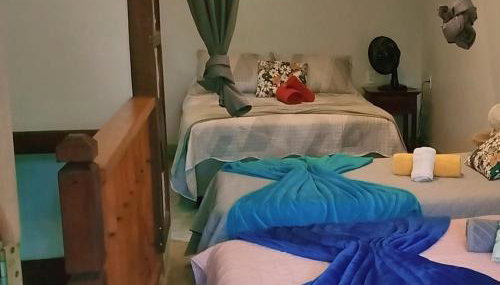 Estrela da noite - Foto 3