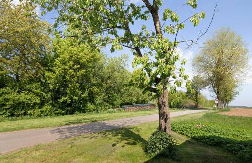 Ferienwohnungen große Albferien - Foto 9