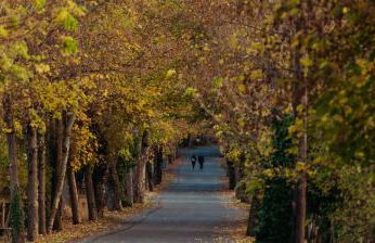 VYTINA LOFTS - Cozy 2-Level Loft Apartments with Fireplace & Mountain Views - Photo 49