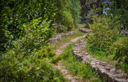 Torre Casciani - Foto 14