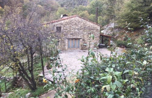 Mas Graffouil - Foto 11