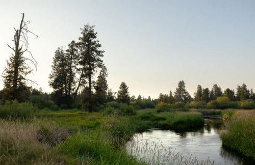 Little Deschutes Wildlife Lodge - Nature's Cabin - Foto 46