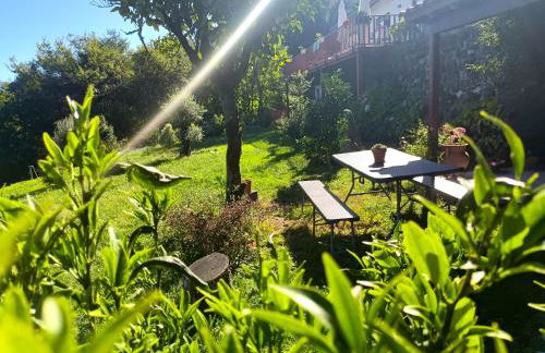 Quinta da Casa Matilde - NATURE HOUSE - Foto 60