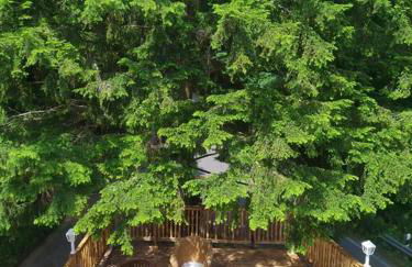 Haus am Wald Zorge 16+ Gäste - Foto 26