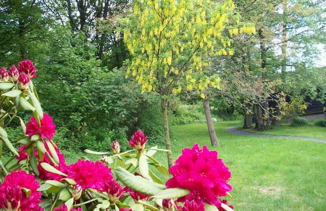 Cozy Chalet in Francorchamps - Photo 26