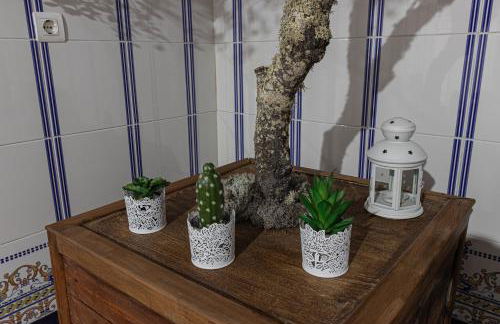 La Vaquería - Foto 22