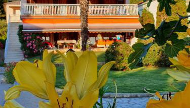 Casa Croatia - Photo 2, Garden