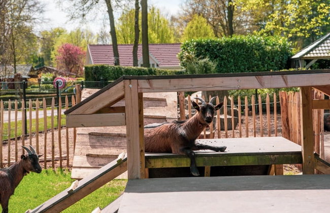 Modern Villa Located in the Achterhoek - Foto 34