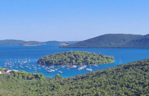 Apartmani Mirko A1 - Photo 20