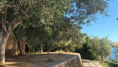 Coastal dream - Photo 5