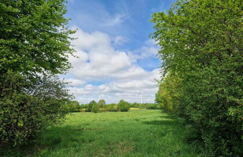 Ferienwohnung Thomée - Foto 25