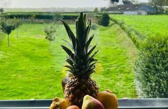 Holiday Home Villa Tante Alice Meerblick Komfort Villa Alleinlage mit Aufzug Jacuzzi Dampfb by Interhome - Foto 17