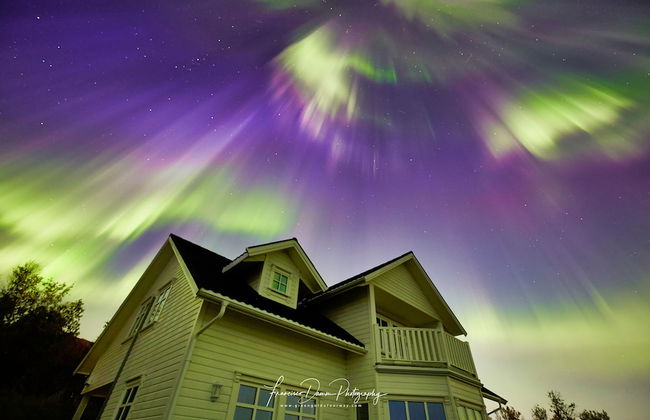 Green Gold of Norway - Foto 31