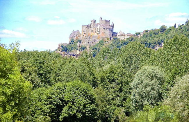 Appealing Apartment in Vezac With Swimming Pool - Foto 51