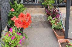 Casa Rural EL PUENTE - Foto 20