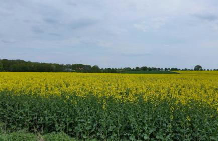 Ferienwohnung Beans - Photo 10