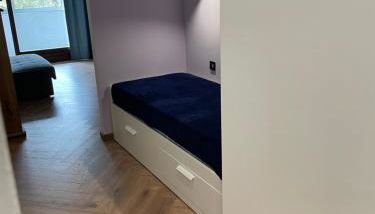 Forest Apartment Zofia - Foto 5