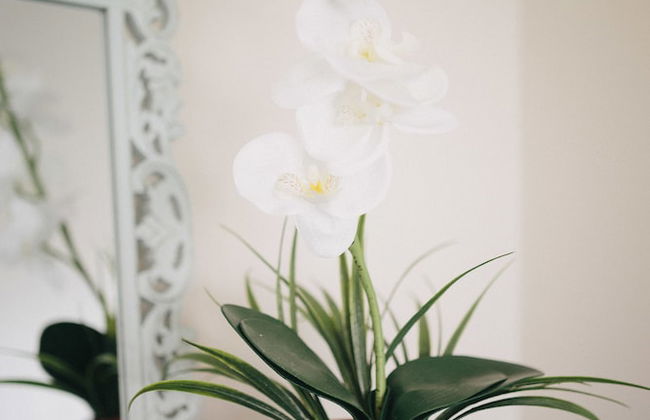 2 Bedroom 2 Bath With Patio On 11th Collins ave - Foto 27