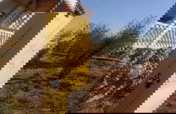 Casa Cabriel - Foto 38