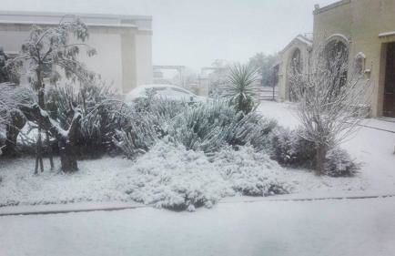 Masseria Sucéa - Foto 49