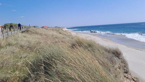 Terra e Mar - Foto 5