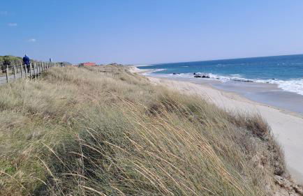 Terra e Mar - Foto 5