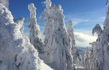 Ferienhaus Zopfhäusl - Foto 45