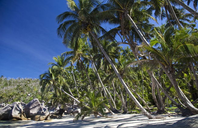 Bedarra Beach House - Foto 19