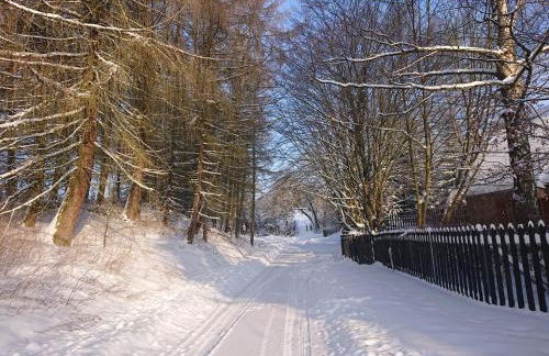 Im Buchenwäldchen - ruhig gelegenes Haus in der Natur für bis zu 12 Personen - Foto 41