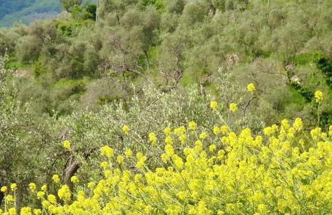 Panoramic Townhouse Casa del Borgo - Photo 21