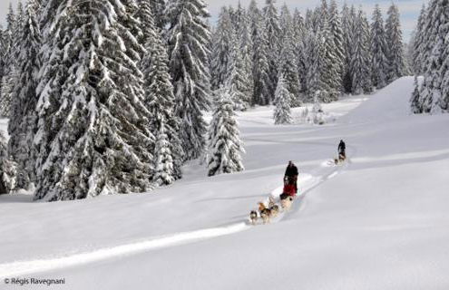 La Clé des Champs - Foto 26