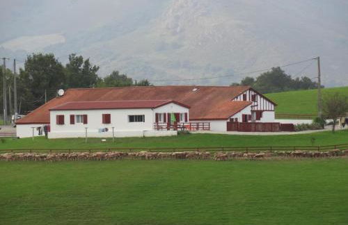 Pena plata - Foto 17