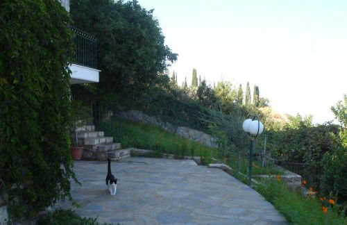 Mathia Apartments - Foto 23