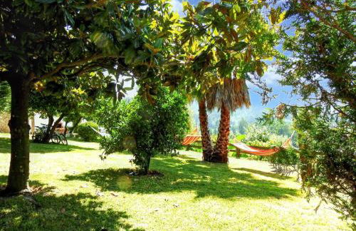 Ideal Villa in Vila Nova de Famalicão with Private Pool - Foto 47