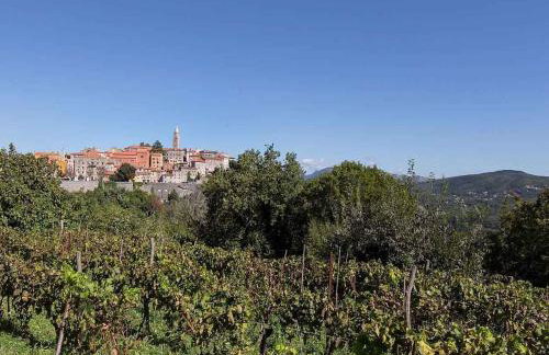 Holiday home in Mali Turini 36021 - Foto 5