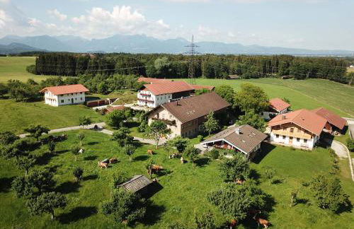 Gschwingerhof - Foto 5