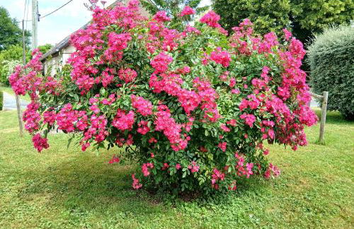 Gite Chambres d Hotes des Péguets - Foto 17