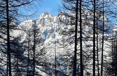 Puy St Vincent 1800 au pied des pistes - Foto 47
