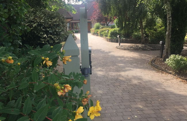 The Lodge - Photo 33