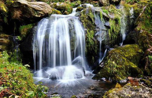 Landhaus Valentin - Foto 47