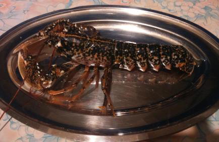 Apartment Marijo - Foto 54