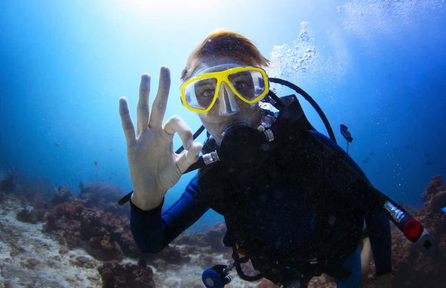 Santa Pola Diving Introduction - Foto 1